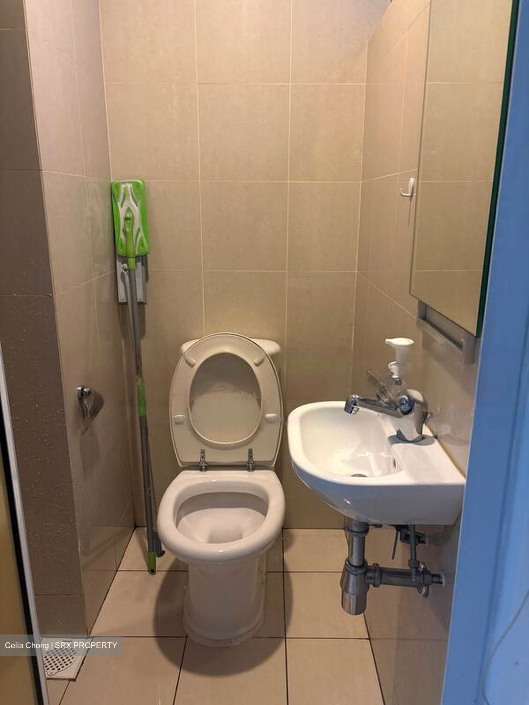 Novena Suites (D11), Apartment #469259221